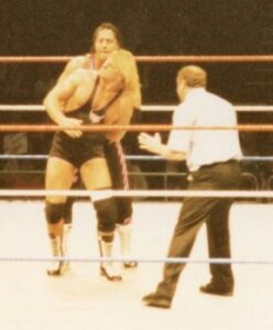 Brothers Bret (behind) and Owen (in front) Hart wrestling each other