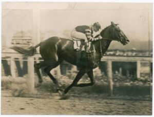 Man o' War in 1920