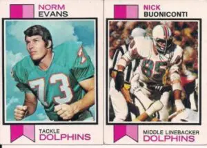 The Miami Dolphins in the 1970s: A Trip Down Memory Lane