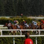 ockeys Riding Racing Horses at a Hippodrome