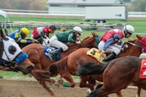 intense horse racing at the track